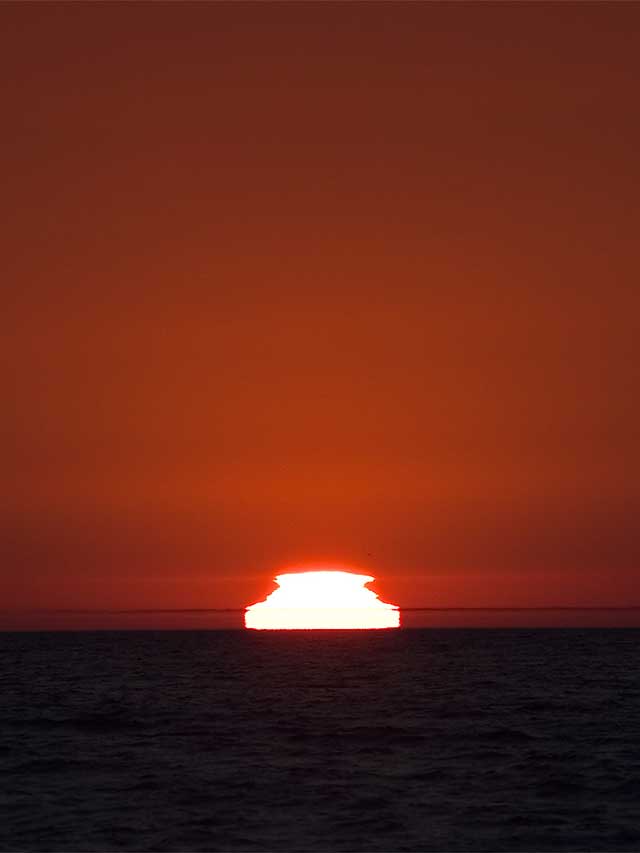 Nature6