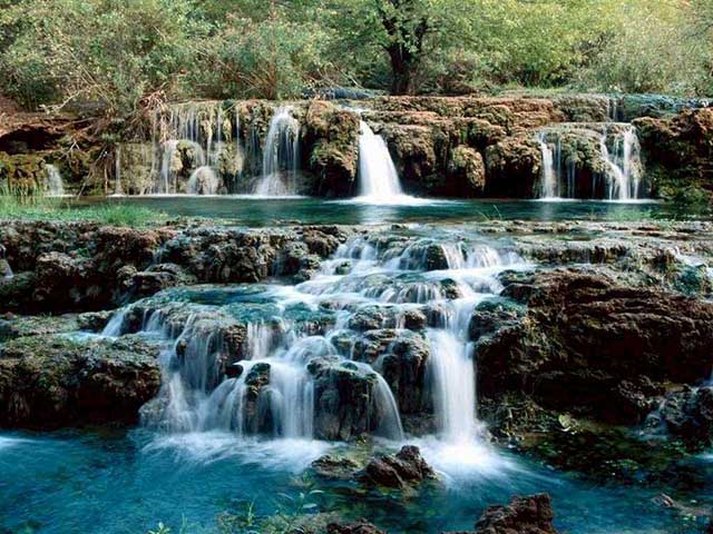 Nature7