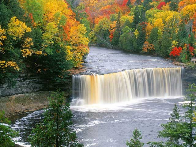 Nature9