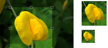 jQuery图像裁剪Jcrop.js插件