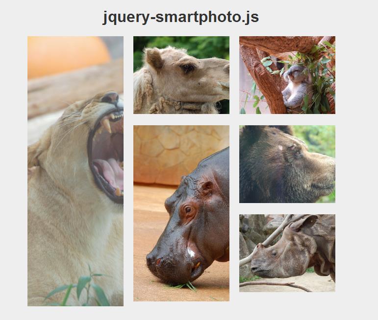 SmartPhoto-jquery移动手机响应式图片查看