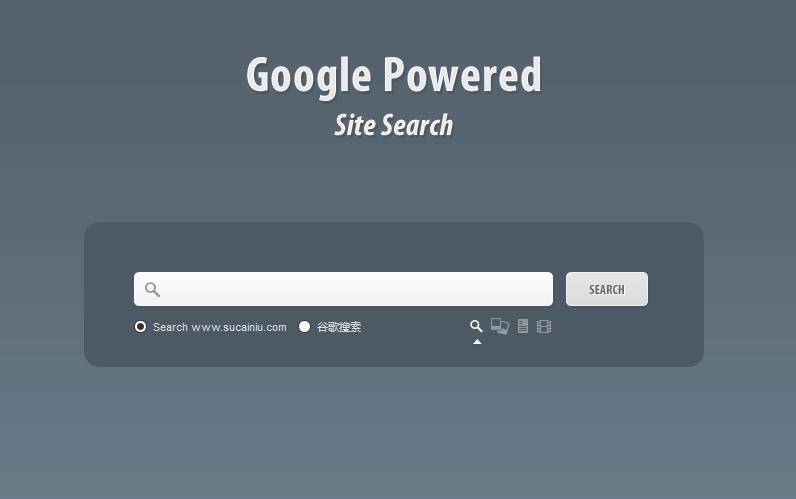 jQuery带有多平台切换按钮的网站搜索框特效