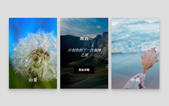 CSS3图片卡片悬停动画特效